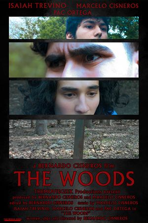 The Woods's poster