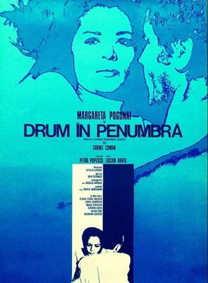 Drum în penumbra's poster