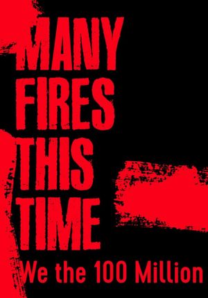 Many Fires This Time: We the 100 Million's poster