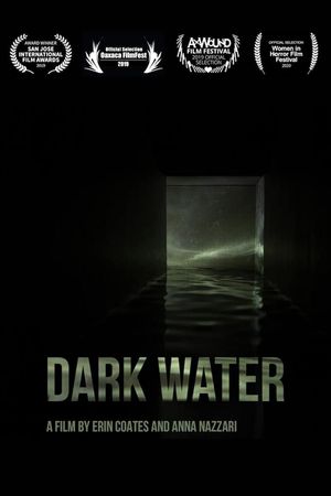 Dark Water's poster