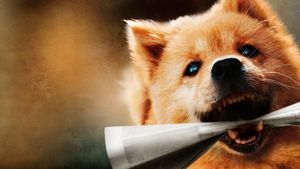 Hachiko's poster