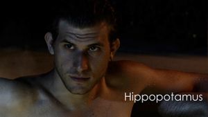 Hippopotamus's poster