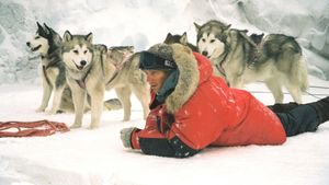 Eight Below's poster