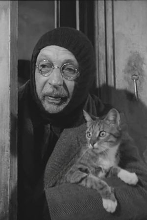 L'Homme au chats's poster