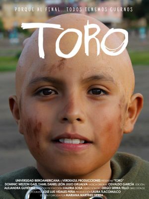 TORO's poster