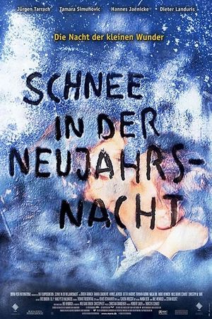 Schnee in der Neujahrsnacht's poster