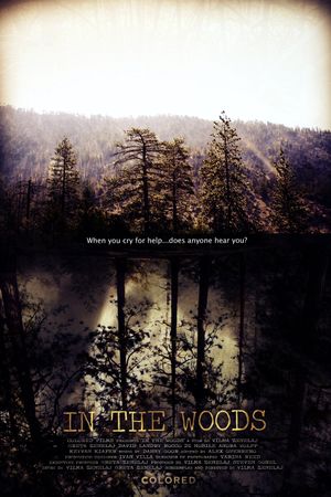 In the Woods's poster