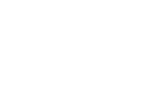 Shark Queens's poster