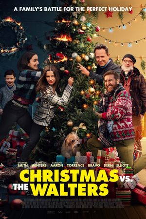 Christmas vs. The Walters's poster image