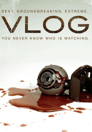 Vlog's poster