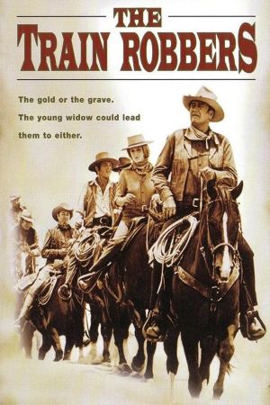 The Train Robbers's poster