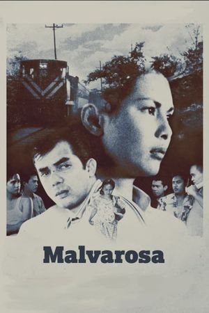 Malvarosa's poster
