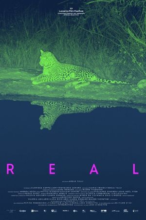 Real's poster