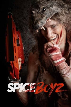 Spice Boyz's poster image
