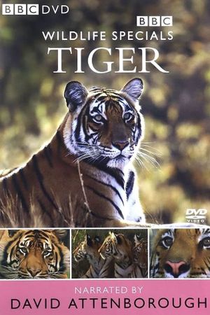 Tiger: The Elusive Princess's poster