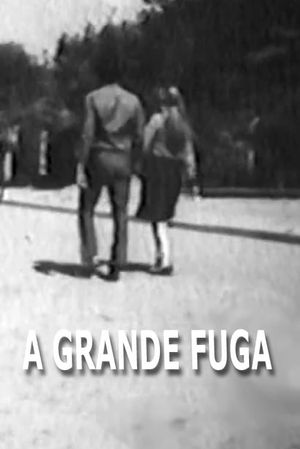 A Grande fuga's poster