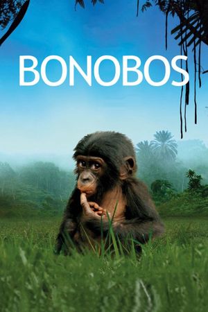 Bonobos: Back to the Wild's poster