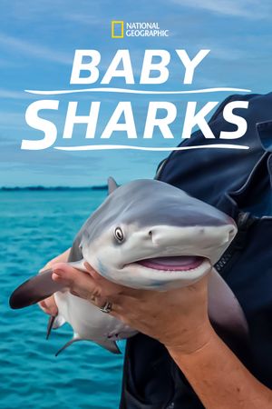 Baby Sharks's poster