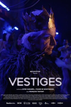 Vestiges's poster