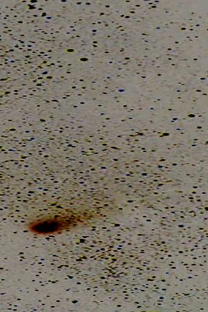 Halley’s Comet's poster