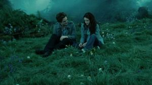 Twilight's poster