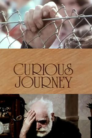 Curious Journey's poster