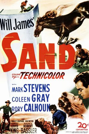 Sand's poster