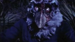 Blood Freak's poster