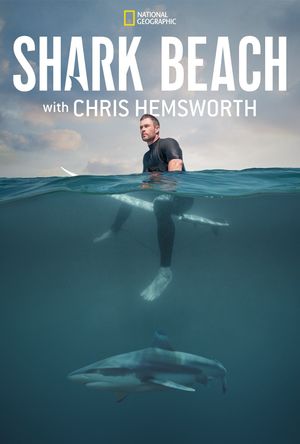 Shark Beach With Chris Hemsworth's poster