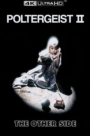 Poltergeist II: The Other Side's poster