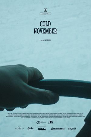 Cold November's poster