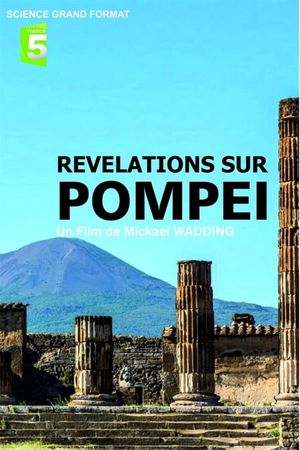 Révélations sur Pompéi's poster