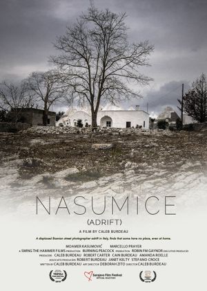 Nasumice's poster