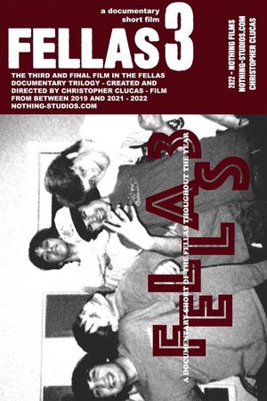Fellas 3's poster