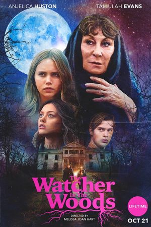 The Watcher in the Woods's poster