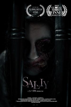 Sally's poster