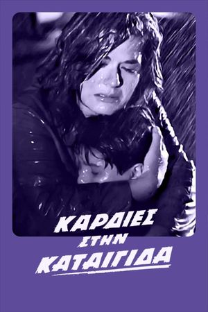 Hearts in the Storm's poster