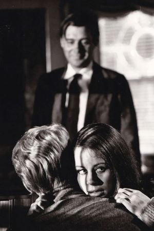 The Servant's poster