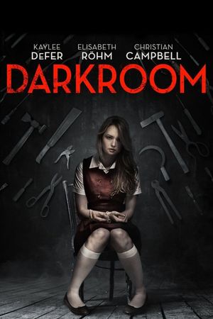 Darkroom's poster