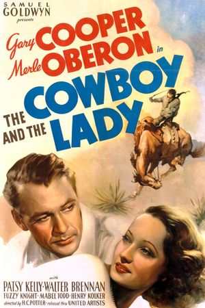The Cowboy and the Lady's poster