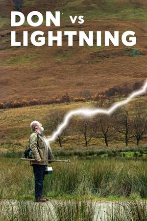 Don vs. Lightning's poster