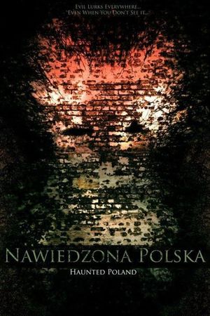 Haunted Poland's poster image