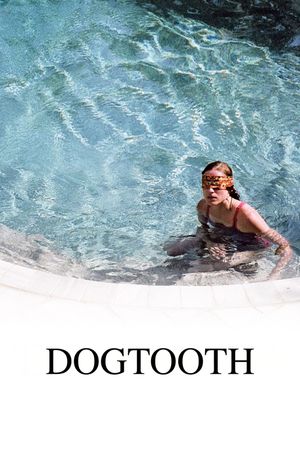 Dogtooth's poster
