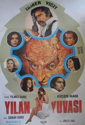 Yilan Yuvasi's poster