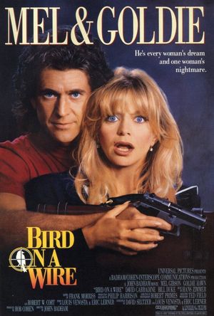 Bird on a Wire's poster