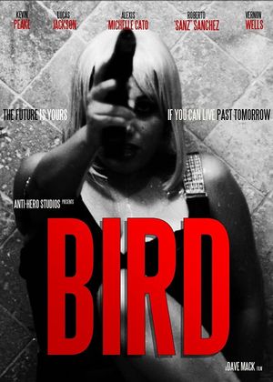 Bird's poster