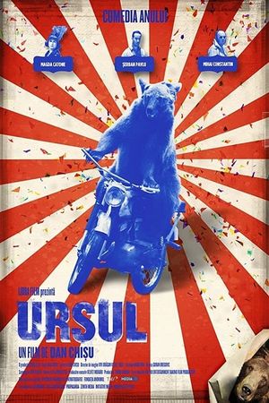 The Bear's poster