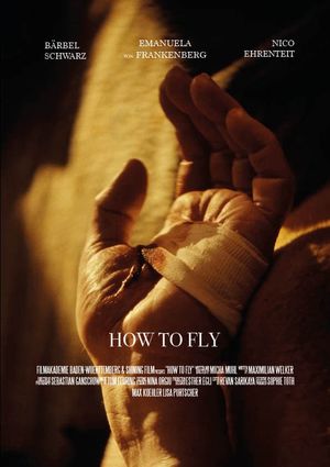 How to Fly's poster image