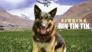 Finding Rin Tin Tin's poster