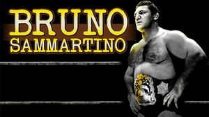 Bruno Sammartino's poster